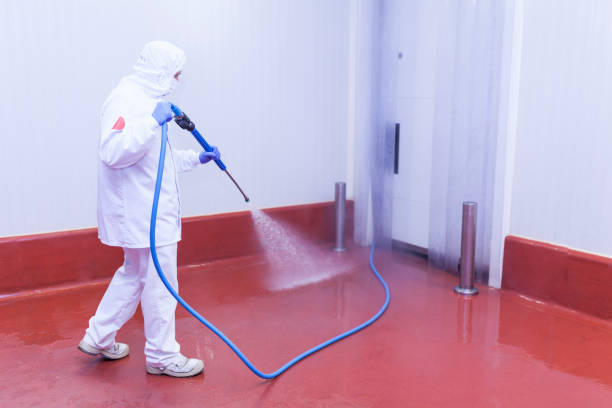 Best Solar Panel Cleaning  in Mono Vista, CA