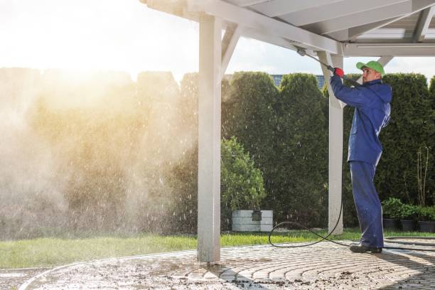 Best Roof Washing  in Mono Vista, CA