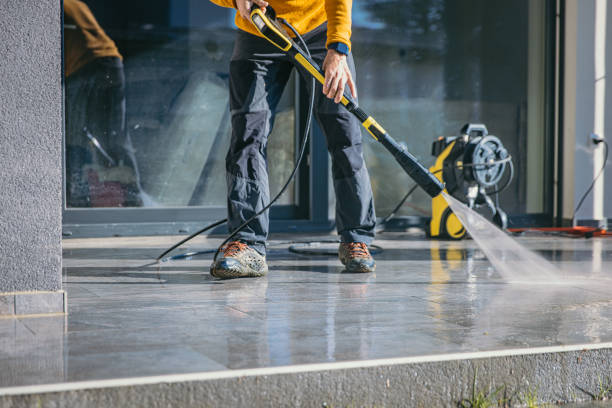 Best Dumpster Area Cleaning  in Mono Vista, CA